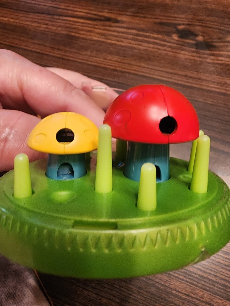 Small Decoartive Ant Farm