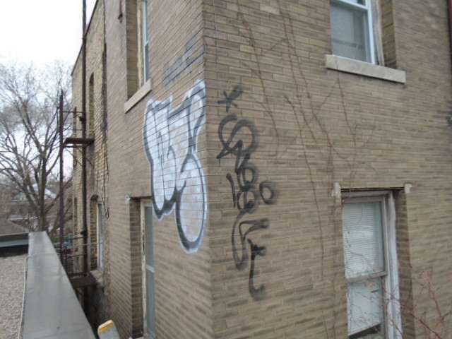 GRAFFITI REMOVER ELEPHANT SNOT 1/2 GALLON GRAFFITI SOLUTIONS