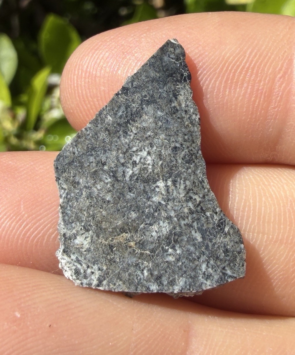 Amgala 001 Martian Meteorite Slice, Shergottite Mars Rock, Rare Meteorite, 1.91g