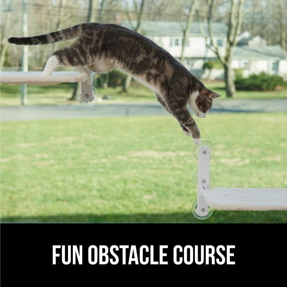 Cat Window Perch, Foldable Hammock Bed with 6 Large Suction Cups, Holds 40lbs, L