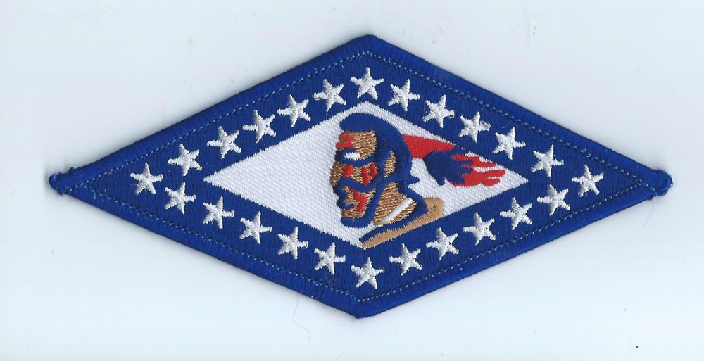 154th TS HERITAGE(154th TRS era) !!NEW!! patch
