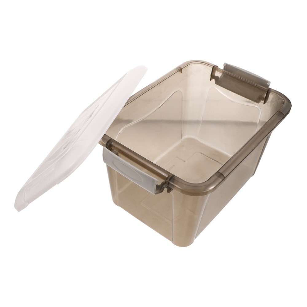 Storage Containers with Lids Handle Compartment Box Small Trunk Organizer