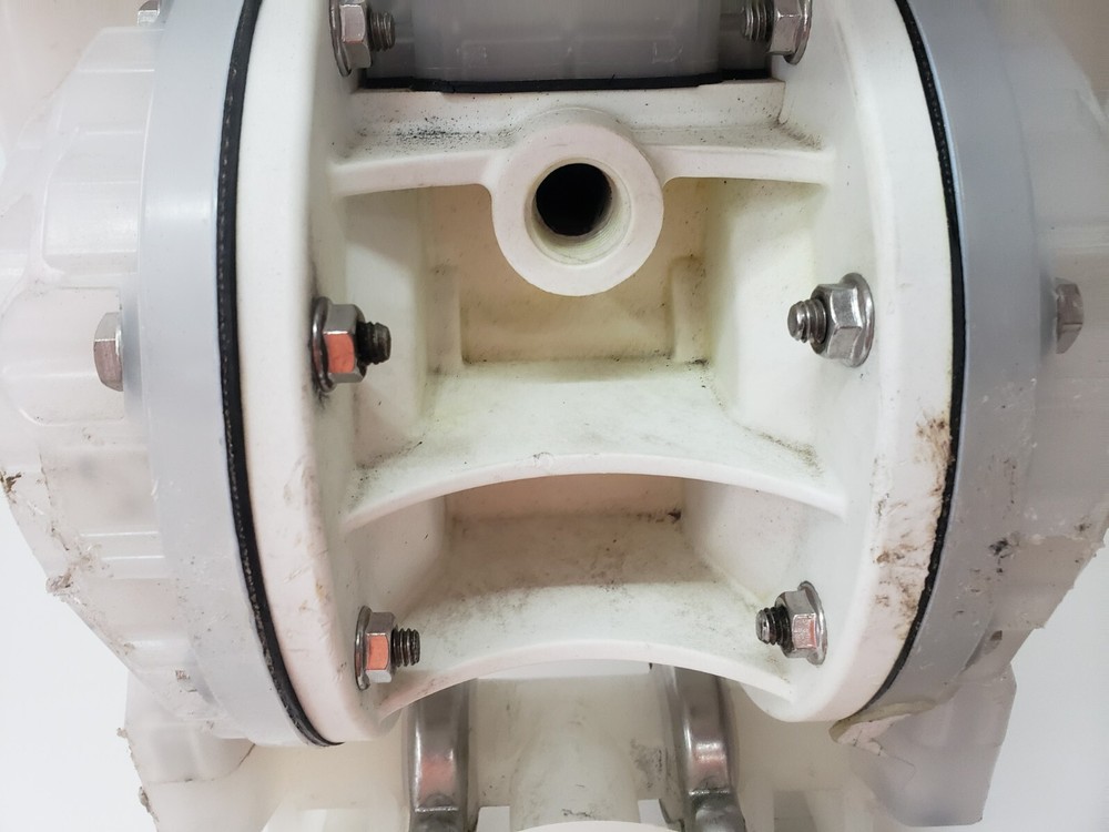Versamatic Diaphragm Pump E1PP5F5T9C-CP Warren Rupp