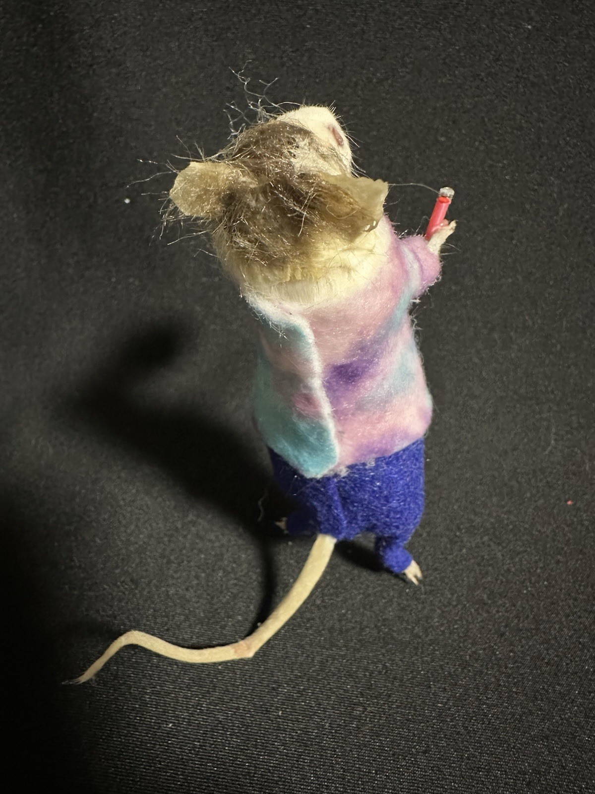 Taxidermy Mouse Stoner Hippie Mouse Oddities Curiosities Taxidermy Art