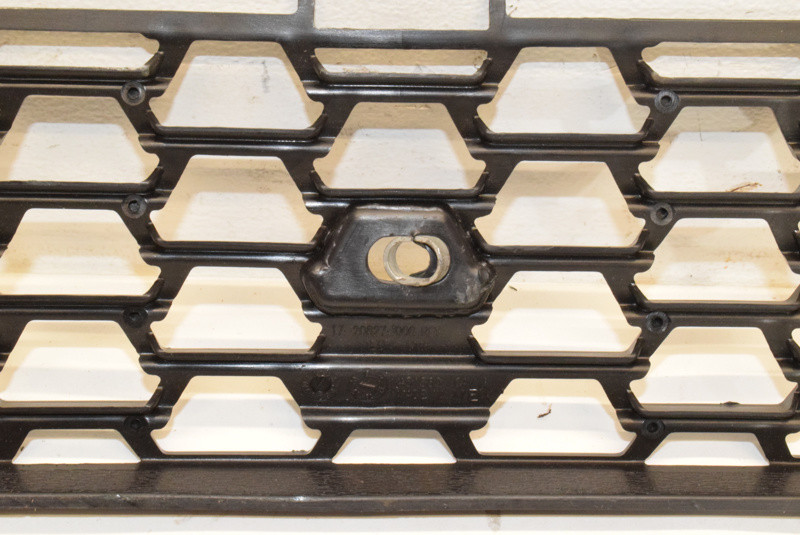 2017 & Up Freightliner Cascadia Bumper Insert A1720845000 (762-10010)
