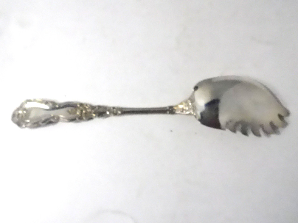 Gorham EP Silverplate CHRYSANTHEMUM Pasta/Spaghetti Serving Spoon