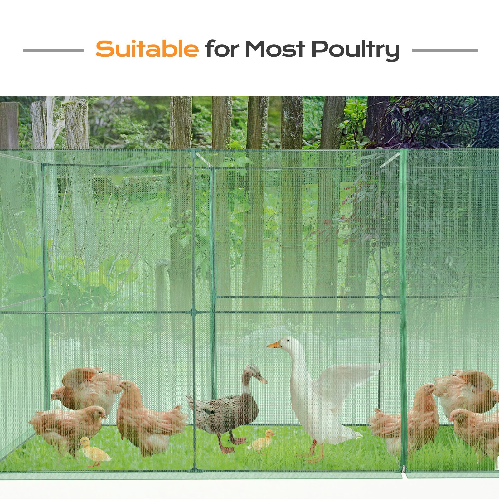 Aoodor 12x4x6ft. Walk-in Crop Cage Plant Protection Tent For Insects Squirrel