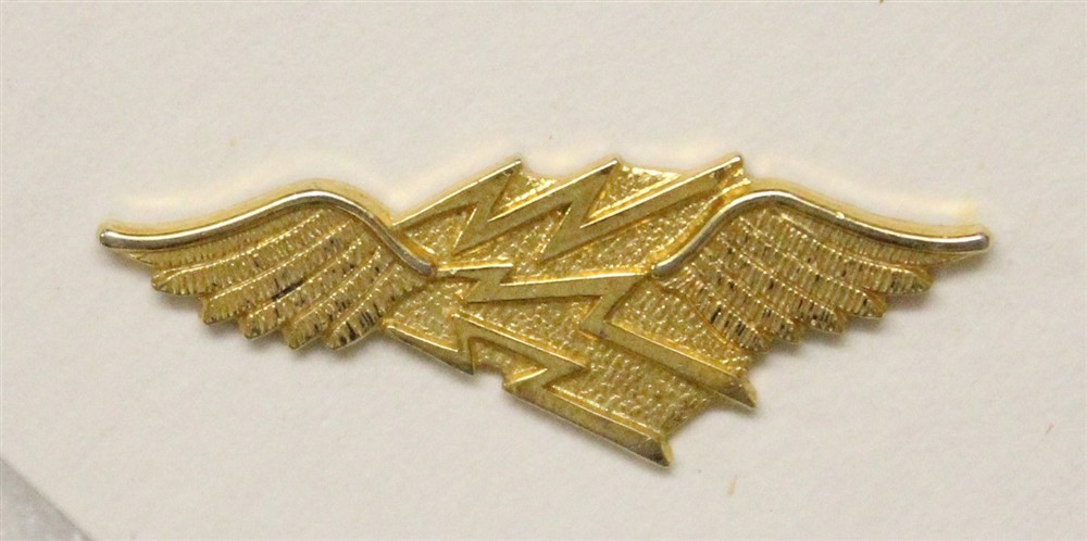 USN U.S. Navy Rate Pin 059: Aviation Electronicsman - gilt, c/b, nhm