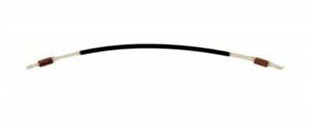 Violin "Paganini" Tailgut