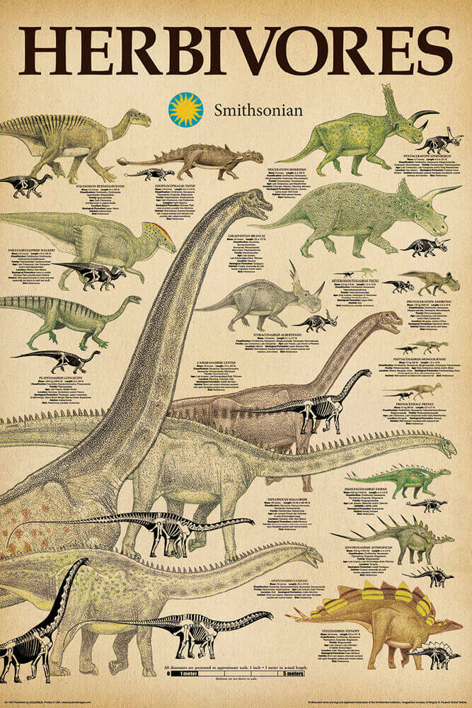 Smithsonian - Herbivores Poster 24" x 36"