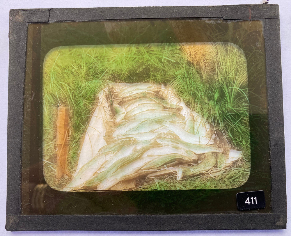 COLORED MAGIC LANTERN SLIDE 411 CAUGHT TROUT ALASKA? 1900s
