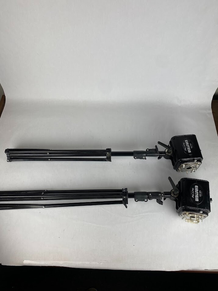 Einstein 640 WS Mono lights