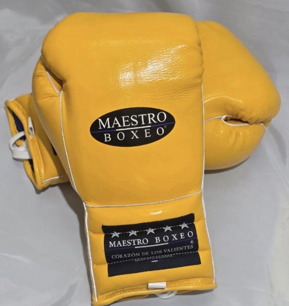 Maestro Boxeo
