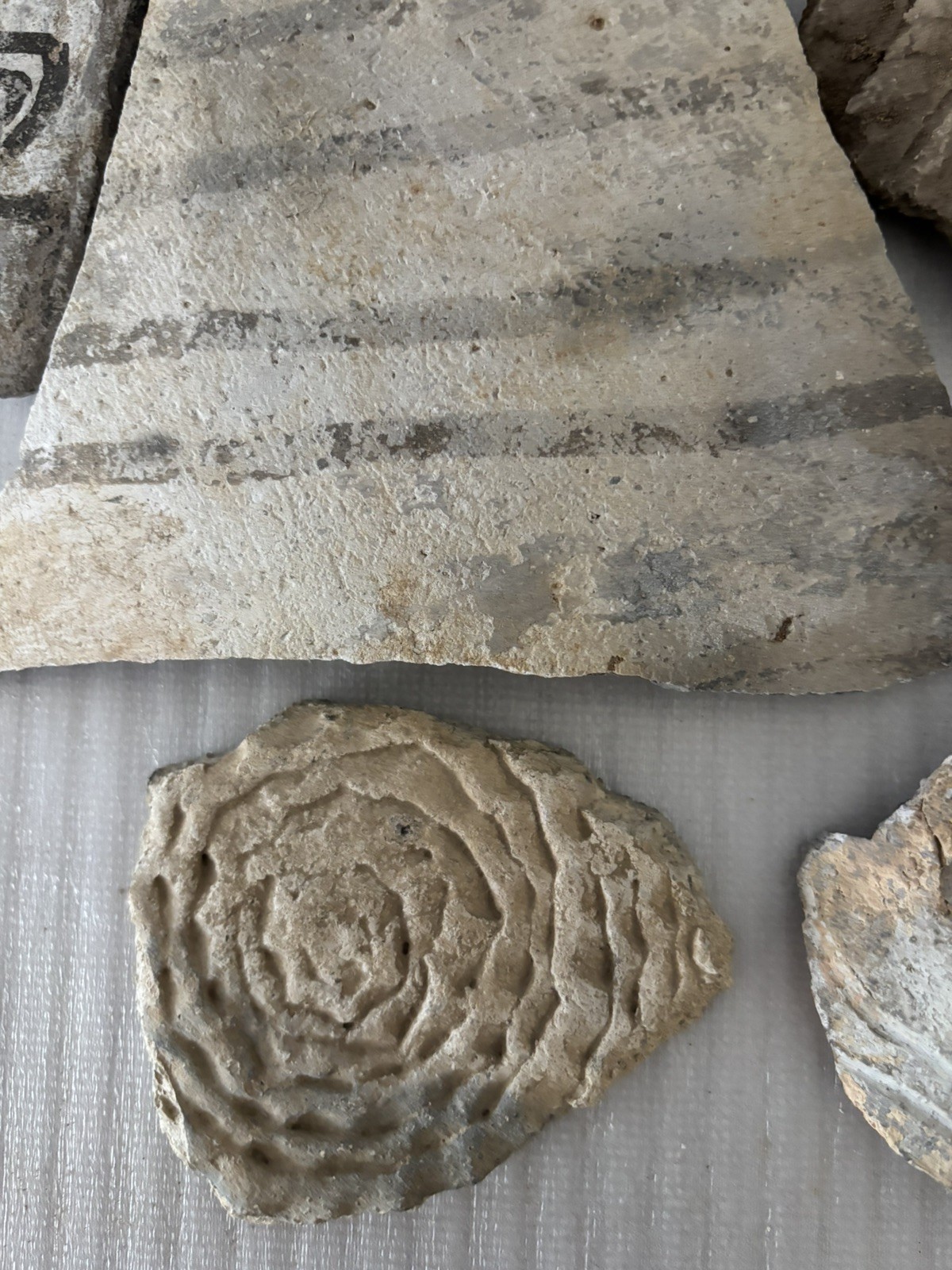 Lot of 7 Large Ancient Anasazi Native American Pottery Shards Arizona L5-D