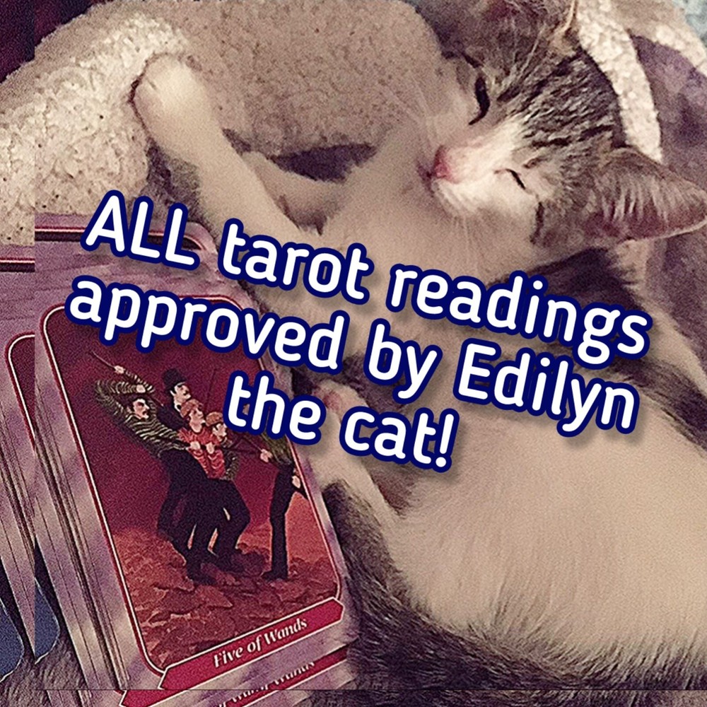What's My Future Hold? ONLINE Tarot Reading!