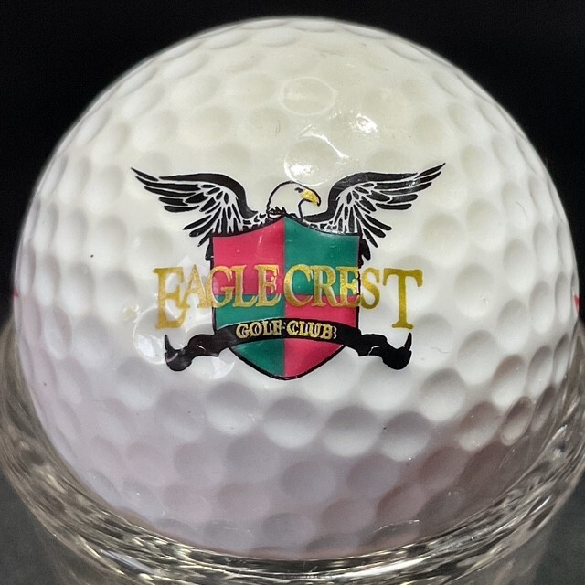 MICHIGAN "E" GOLF COURSE LOGO BALLS