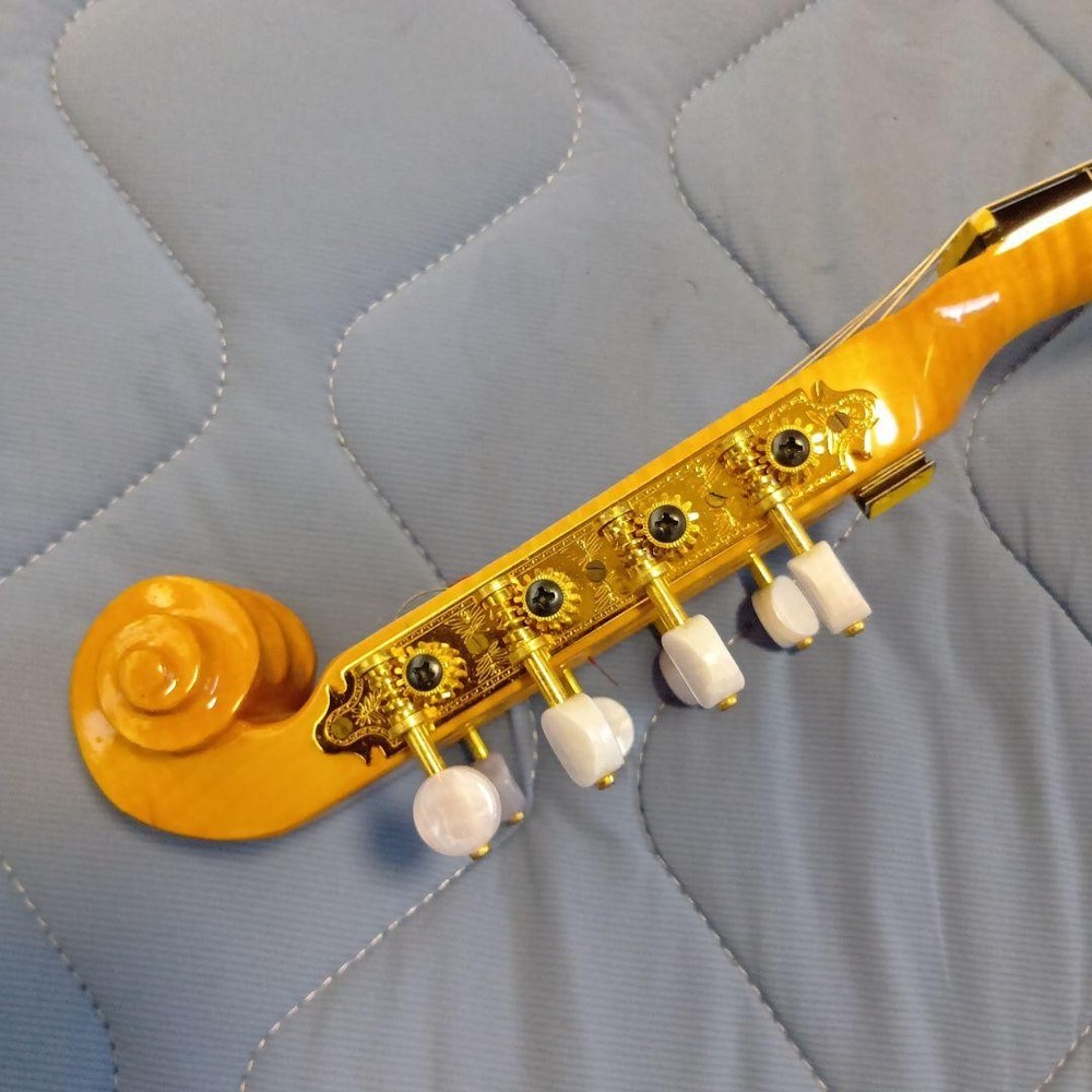 Mandolin 8 string orange with case