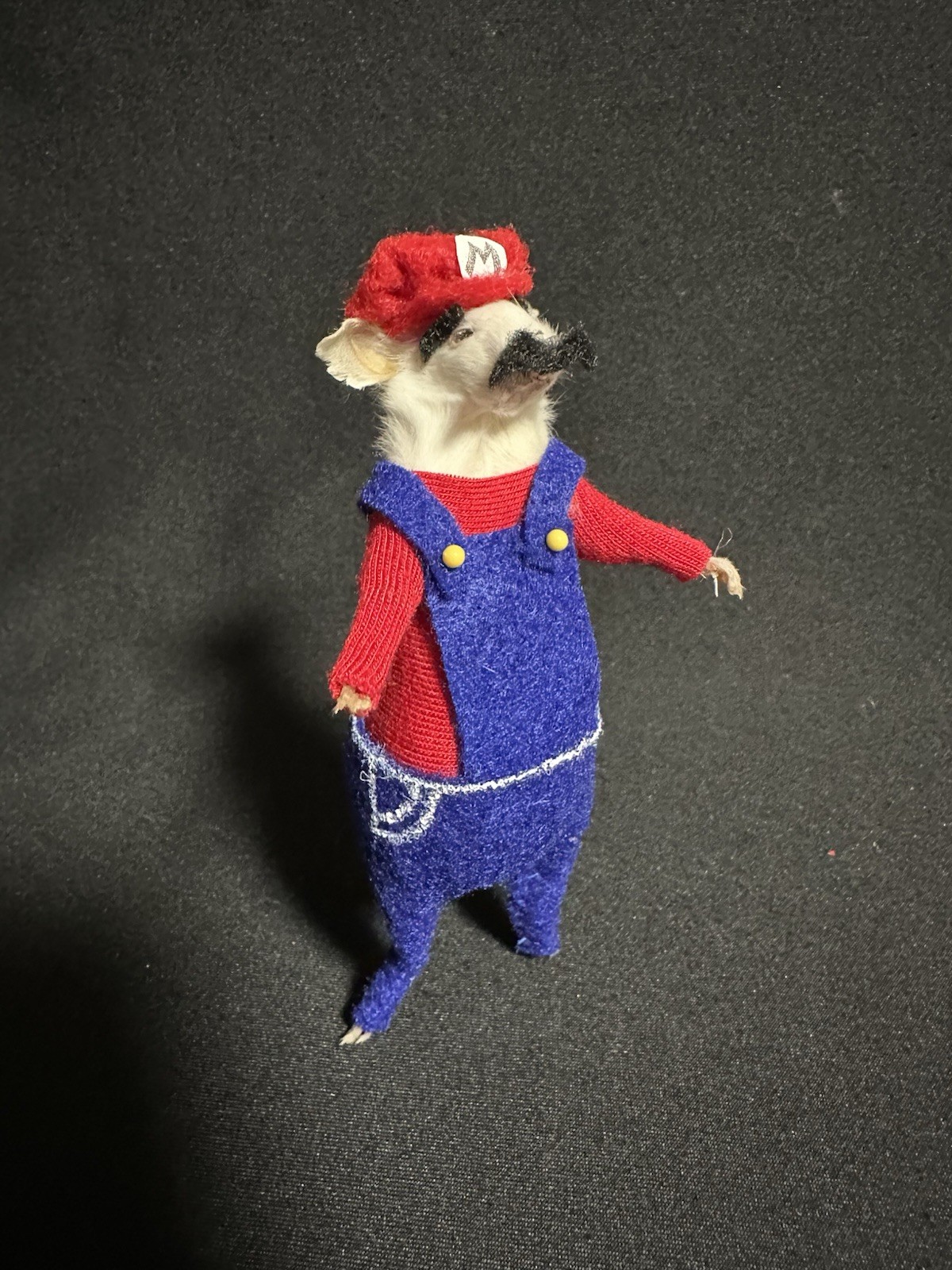 Taxidermy Mouse Super Mario Mouse Oddities Curiosities Taxidermy Art