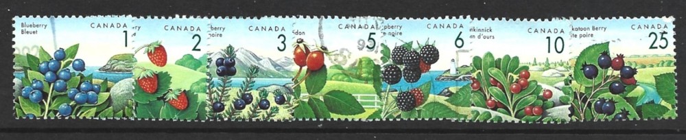 Thematics "Berries" F/U