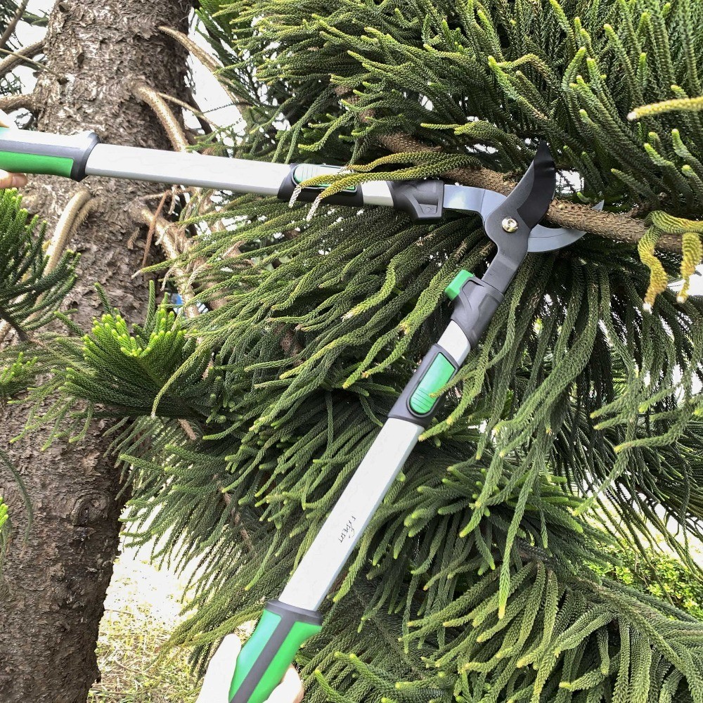 Extendable Tree Cutter 38 Inch Anvil Lopper Pruning Shears Trimmer Tool