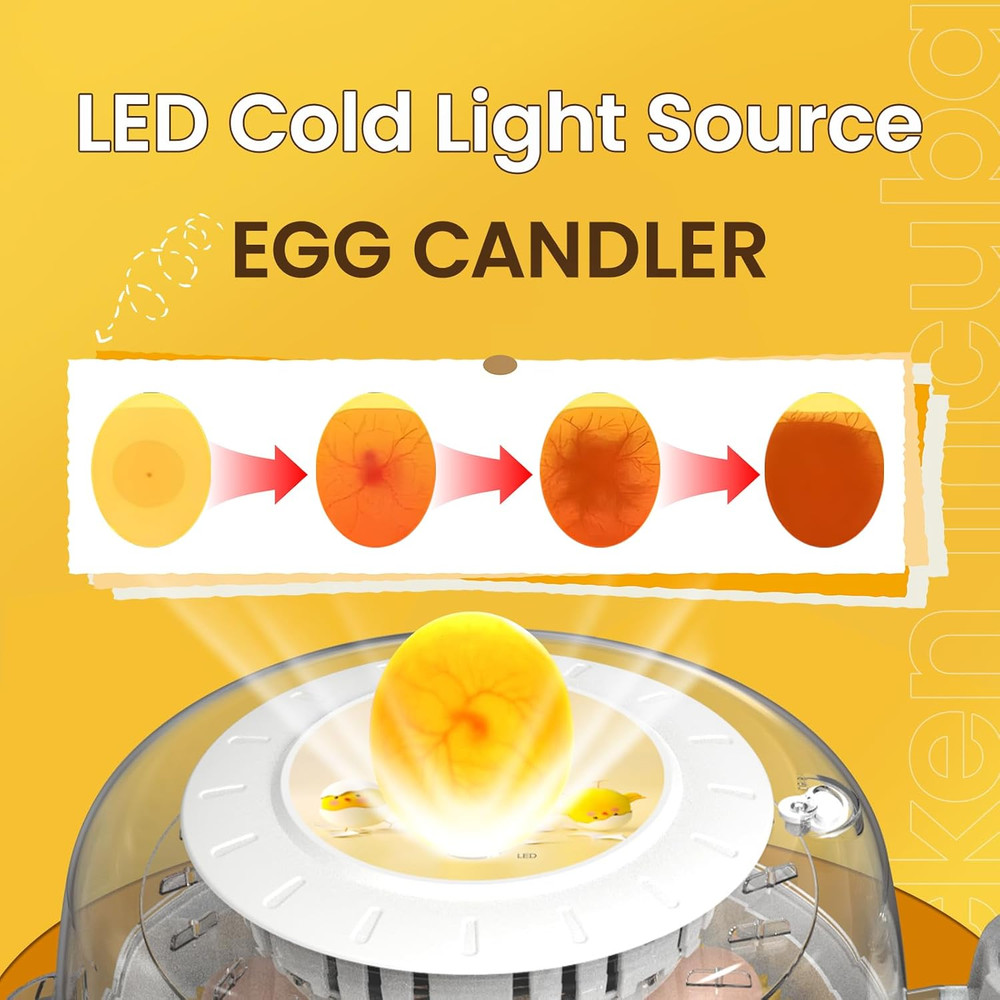 8 Egg Incubators for Hatching Eggs, Incubator for Chicken Eggs 360 Degree View,