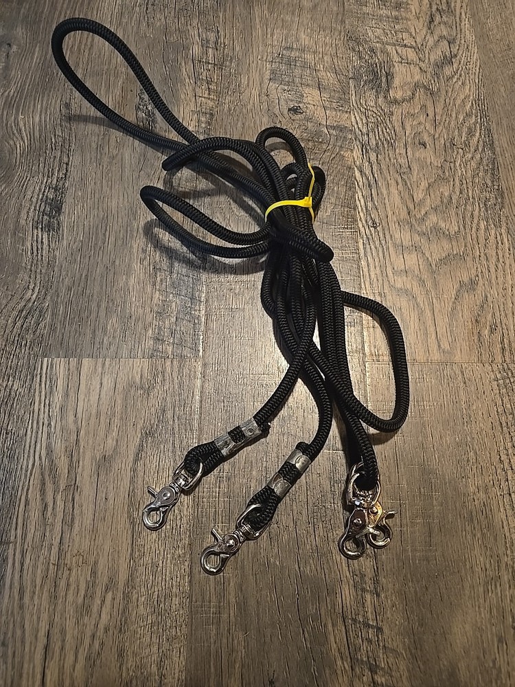 horse draw reins