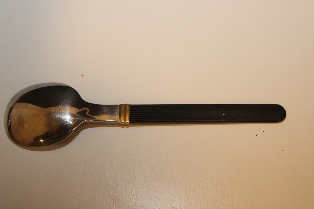 Sasaki Rigadin Matte Black Teaspoon 6 1/4"