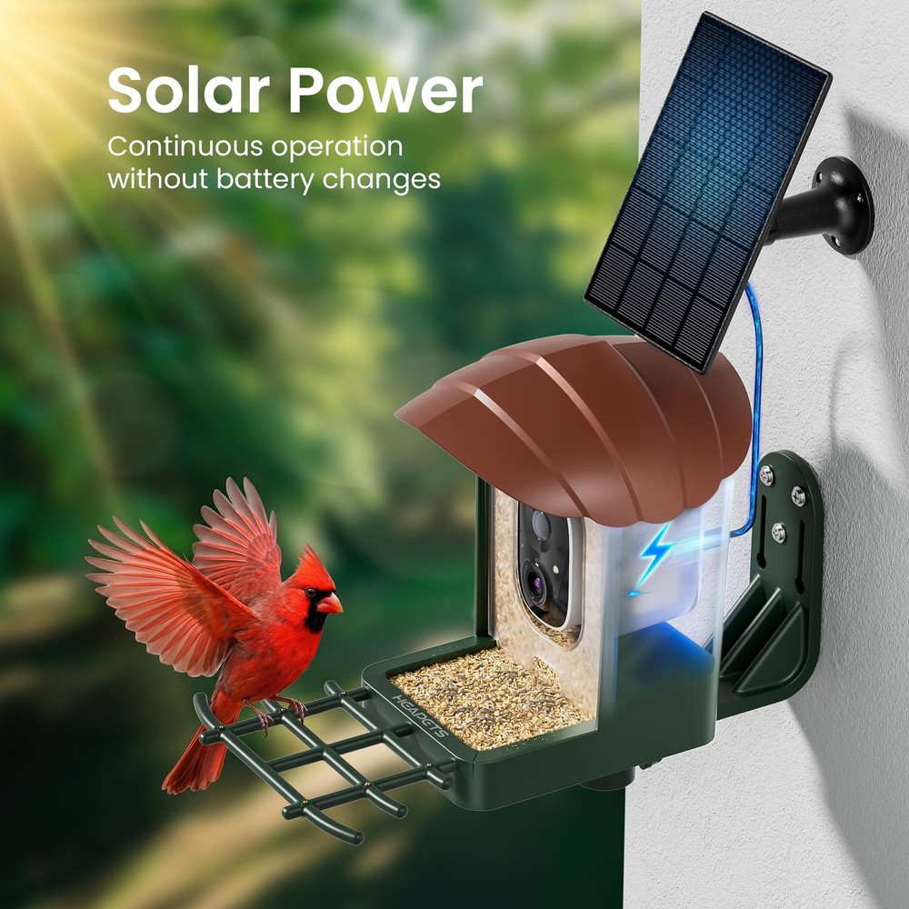 Bird Feeder with Camera Solar Powered 4K UHD Video AI Recognition