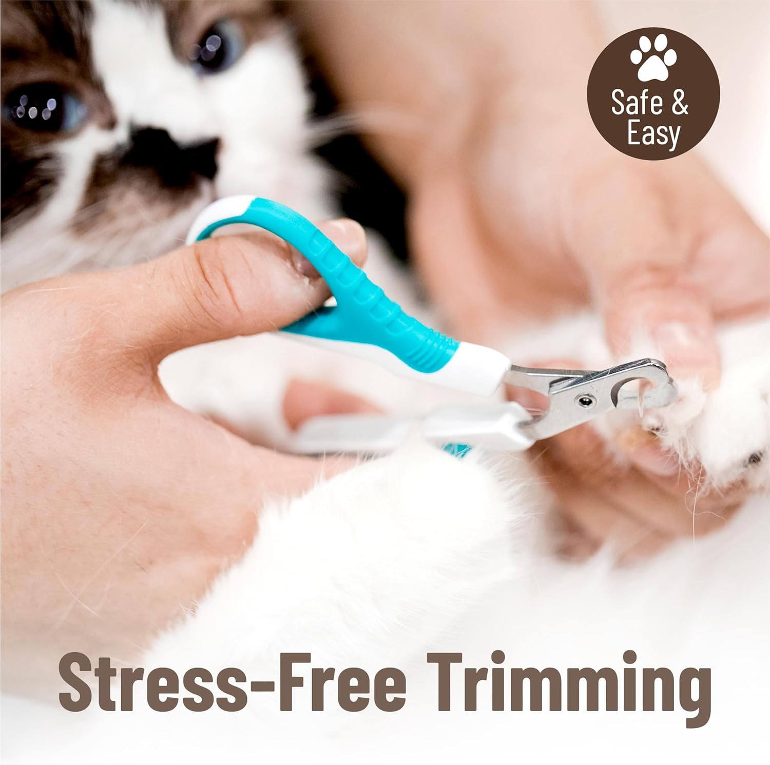 - Cat Nail Clipper, Pet Nail Trimmers, Kitten Claw Clippers, Easy to Use, Precis