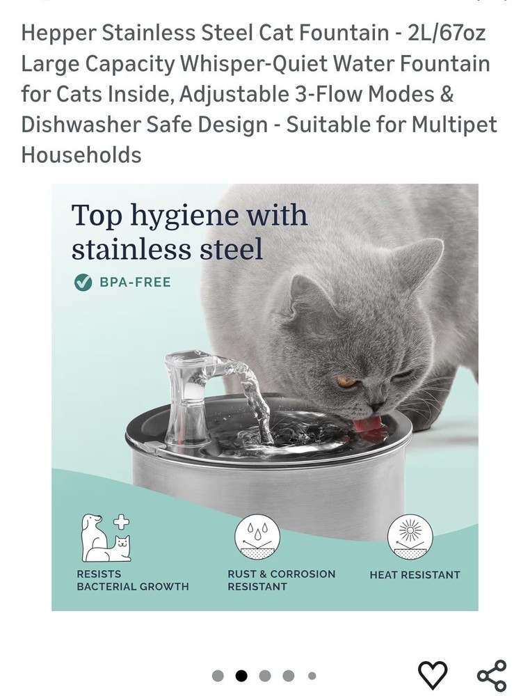 Electric Water Bowl