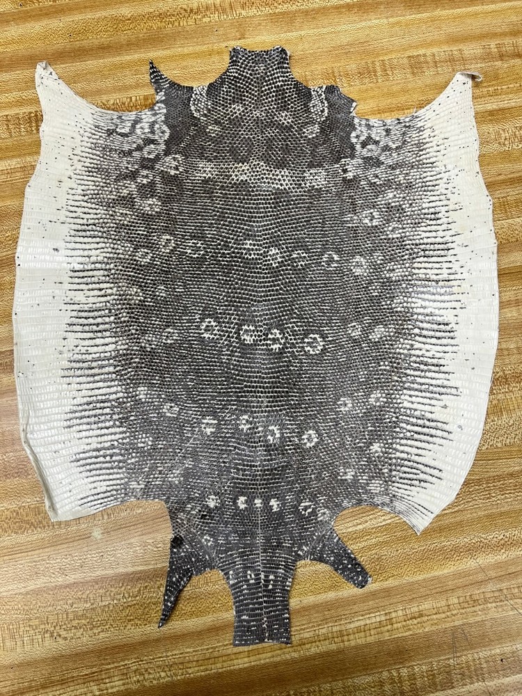 Natural ring lizard skin black and white