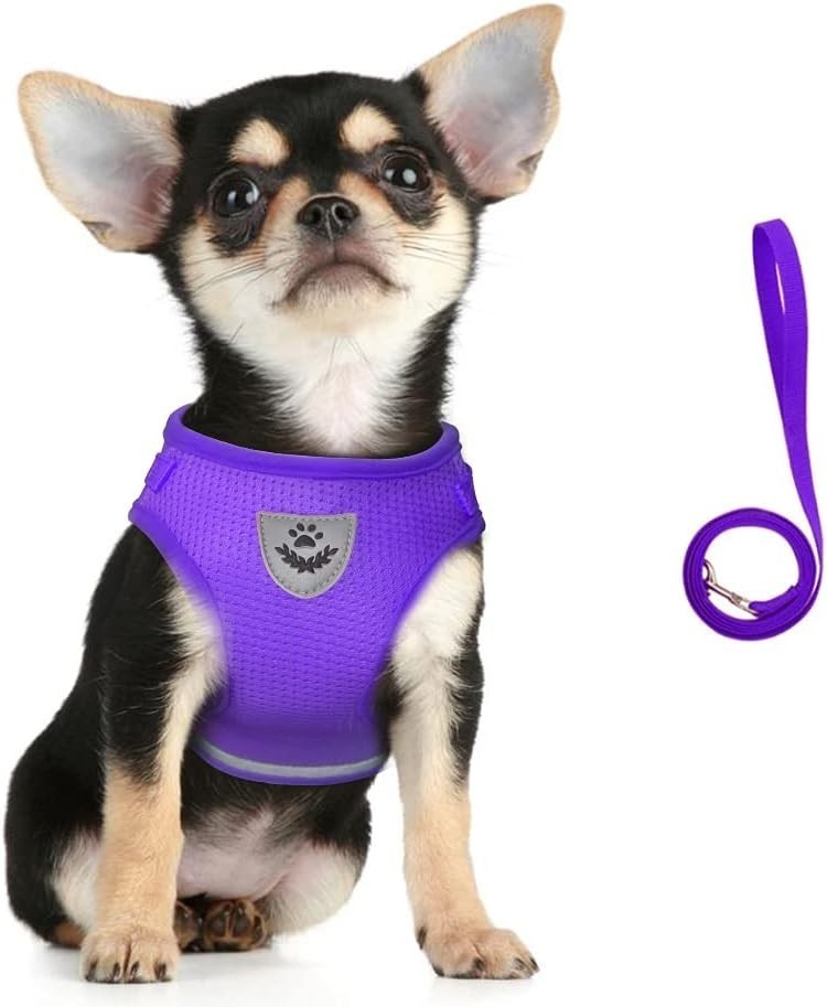 Dog Harness & Leash Set Walking Soft Mesh Adjustable Easy Control Lightweight