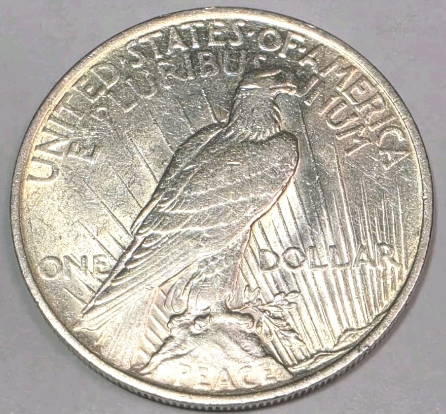 1922 peace dollar VF condition 117
