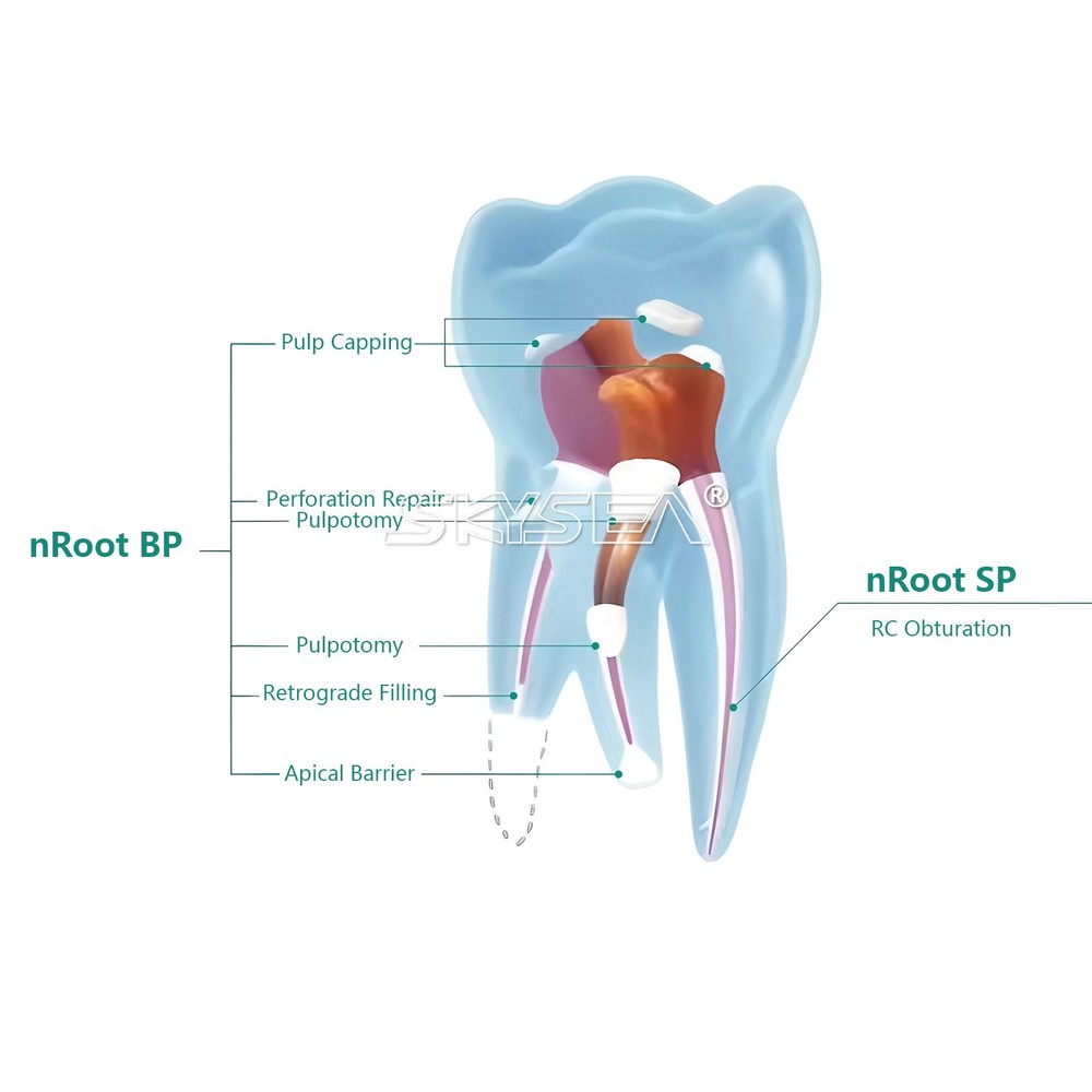 Sealer Bioceramic Root Canal Sealers 2g + 20 tips