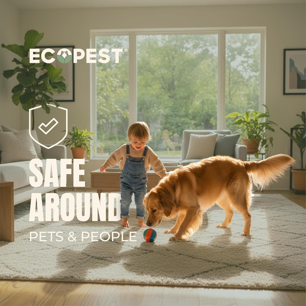 Bed Bug Interceptors – 4 Pack | Bed Bug Blocker (XL) Interceptor Traps (White) |