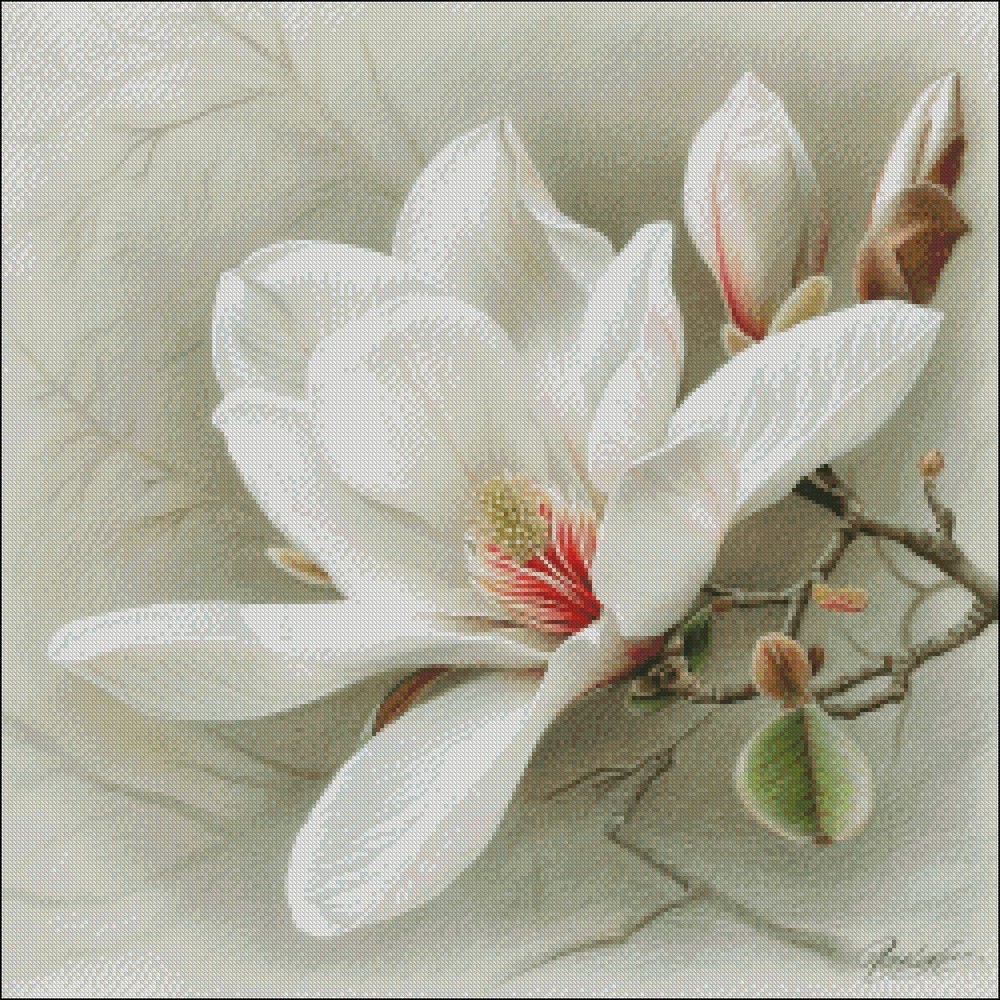 White Magnolia - DIY Chart Counted Cross Stitch Patterns Needlework DMC Color