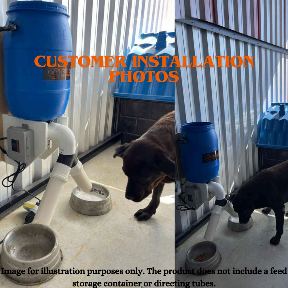 Automatic Feeder with Timer – Feed Dispenser for Small & Large Animals