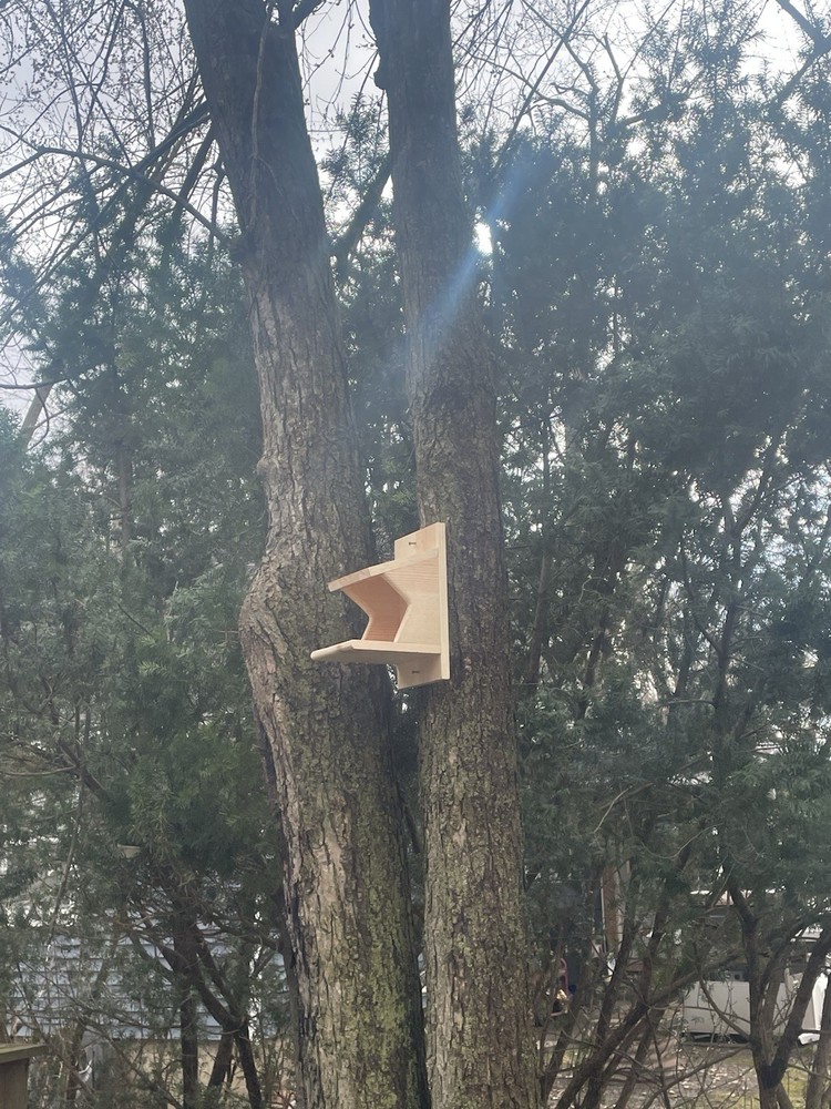 Pine Wood Robin Nesting Box~Dove Nesting Box~Cardinal Home~phoebe Nesting Box