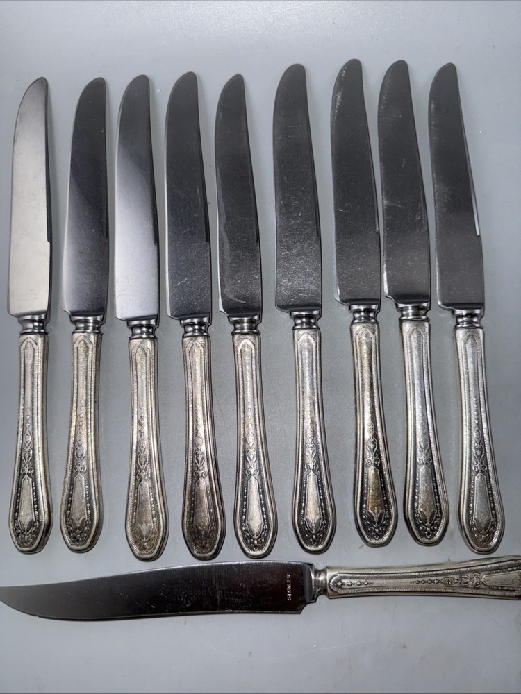 Oneida Community Plate Hampton Court 19 pc Silverplate Flatware Set