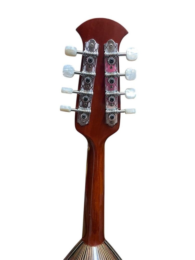 Suzuki violin mandolin M-218 with hard case