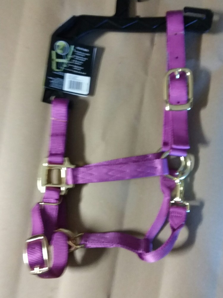 Purple Dumor Halter Classic  Halter - yearling (500-800lbs)