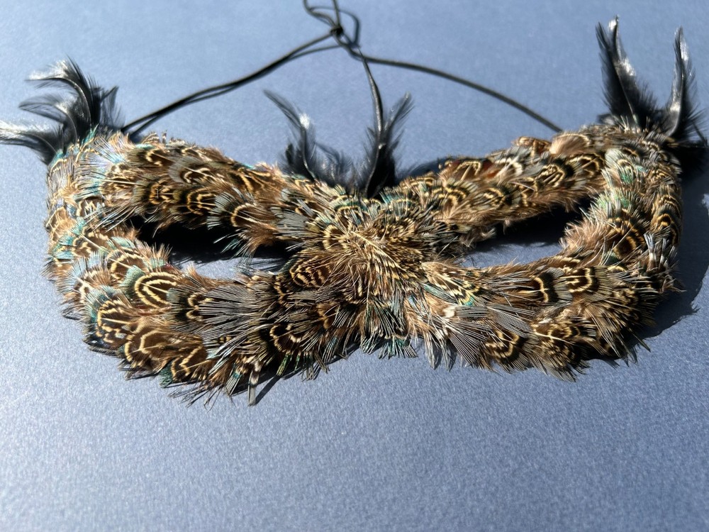 Feathered Masquerade Ball Half-Face Mask