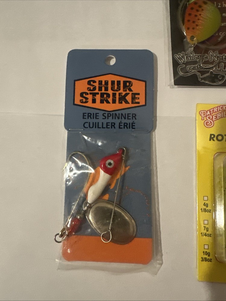 Random Walleye Rigs