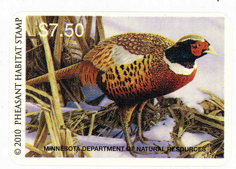 MINNESOTA #28P 2010 STATE PHEASANT STAMP by David Cahpman