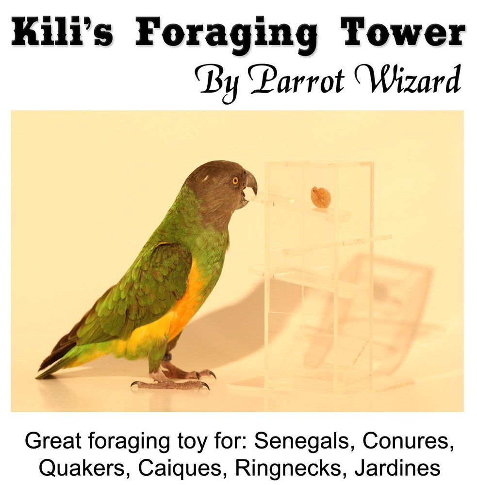 Birdie Foraging Tower - Intelligent Foraging Toy for Small Sized Parrots