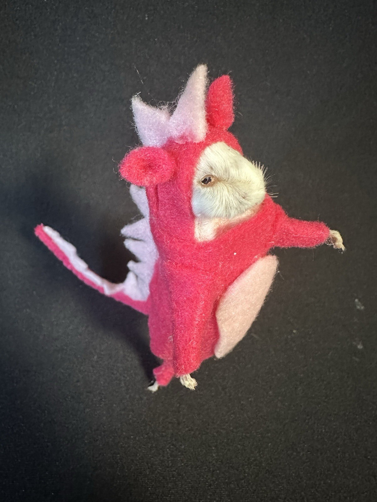 Taxidermy Mouse Dinosaur Mouse Oddities Curiosities Taxidermy Art