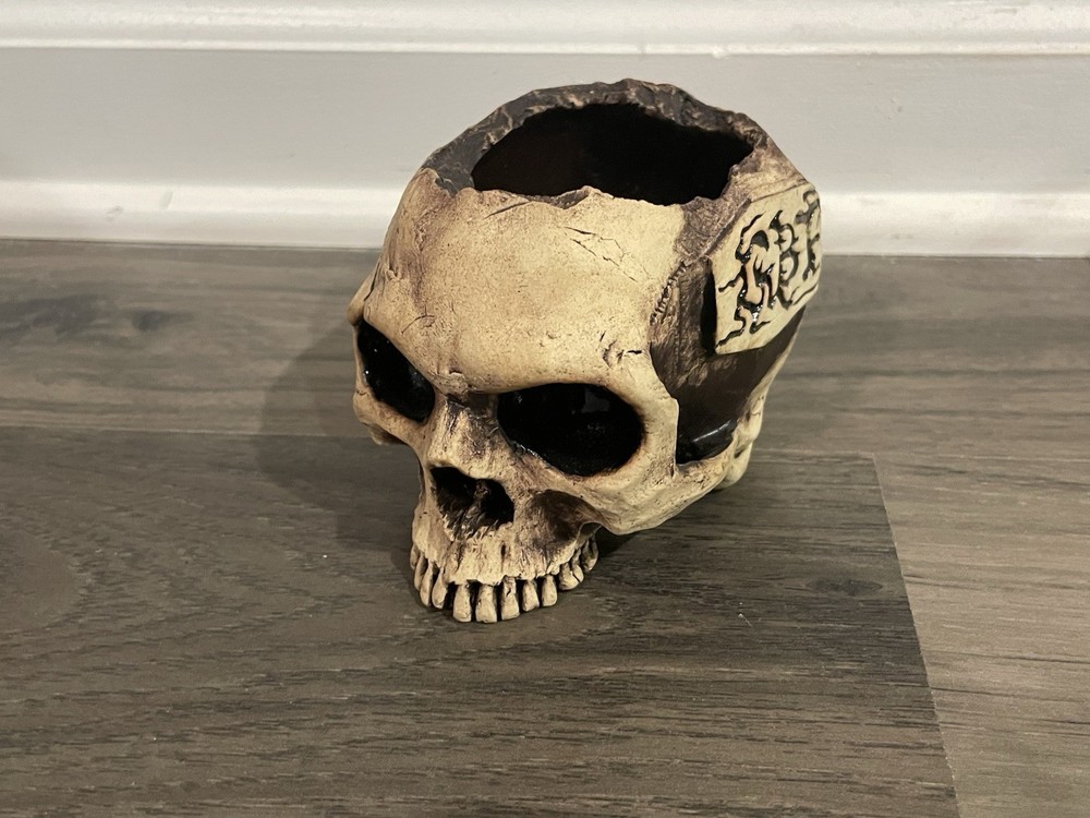 Very Cool Unique Open Top Ceramic Skull Halloween Decoration Storage Macabre 5”