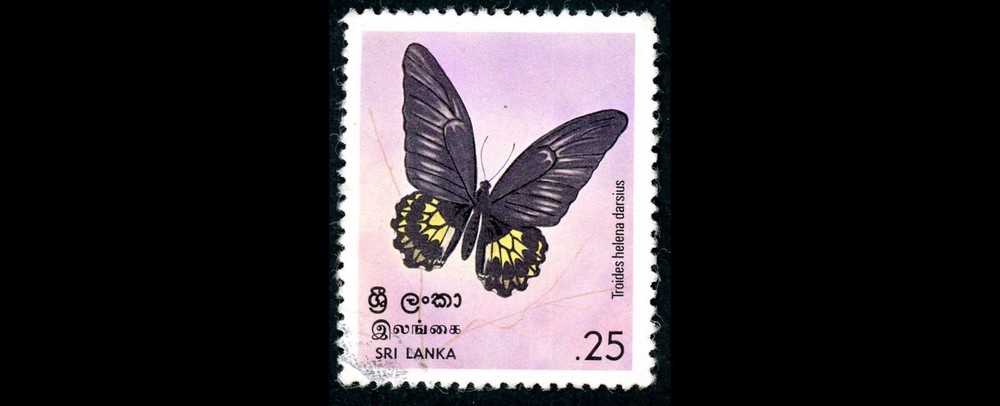 Sri Lanka Cancelled Stamp Butterflies Grade-1, 1978, Ceylon