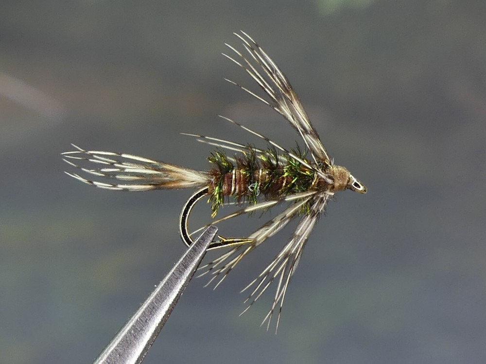 6 Flies -McGee's SCS Spring Creek Special