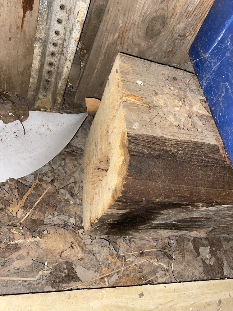 Hand Hewn Beams- Wormy Chestnut